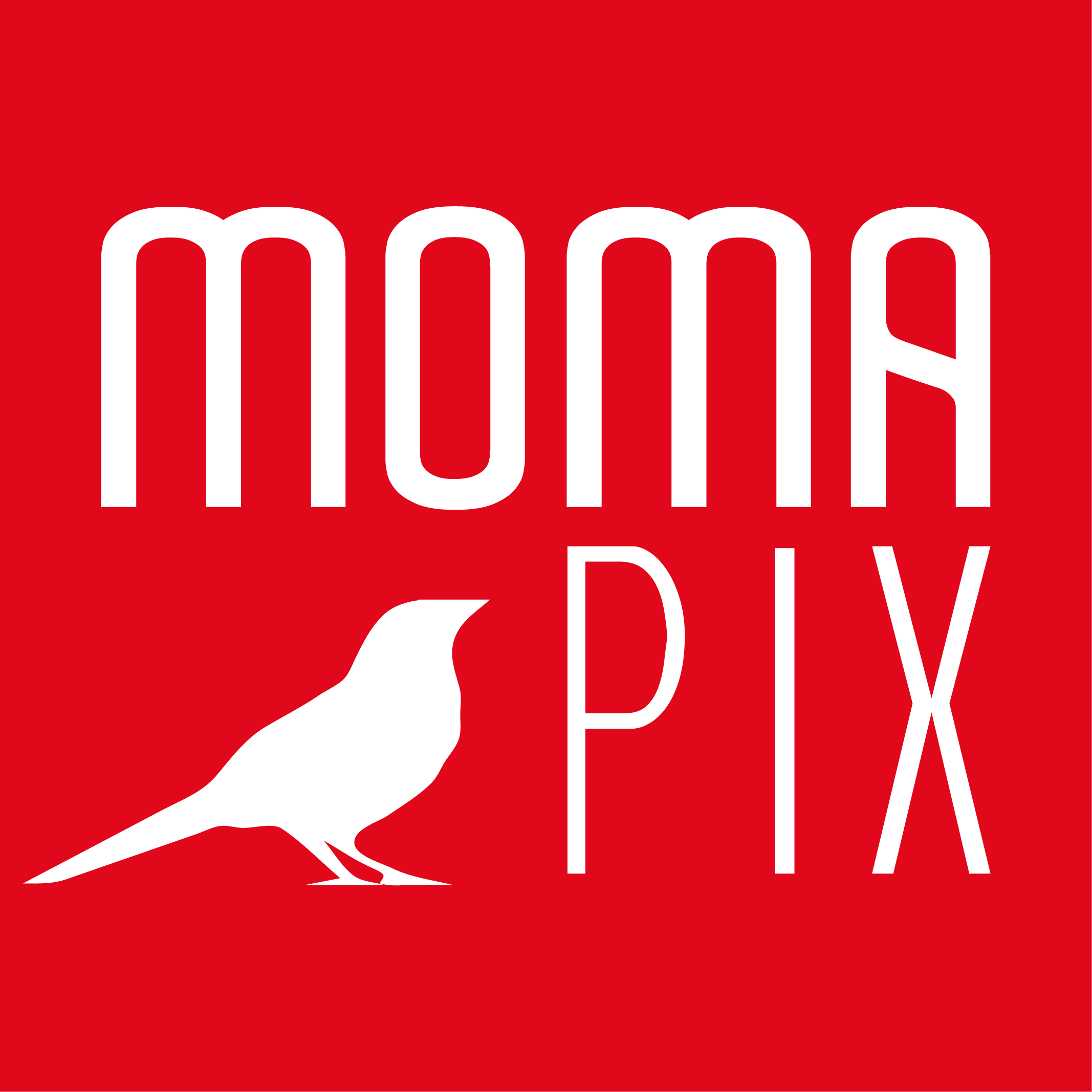 MomaPIX DAM