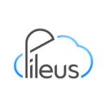 Pileus