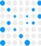 Prime Analytics