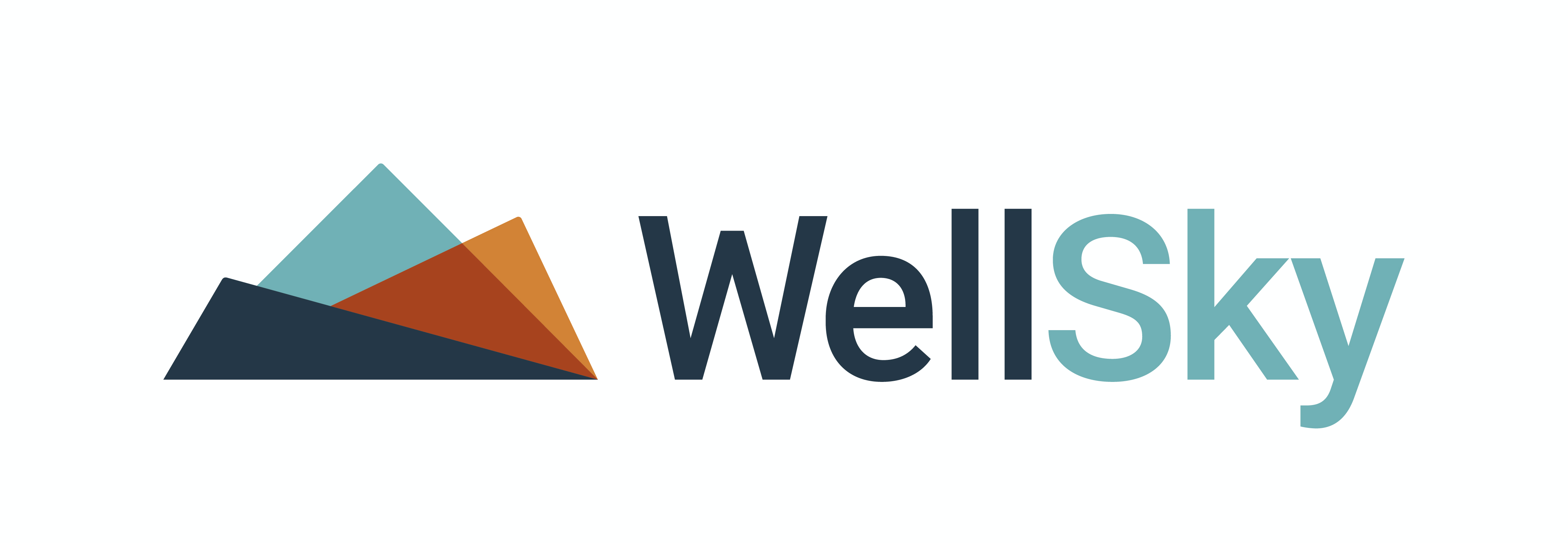 WellSky Rehabilitation