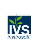 IVS
