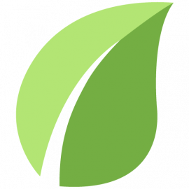 Solvemint