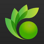 Stalk and Beans, Inc.