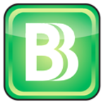 BizBudg Online
