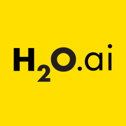 H2O Driverless AI