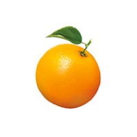 Orange Mailer
