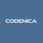 Codenica Audit