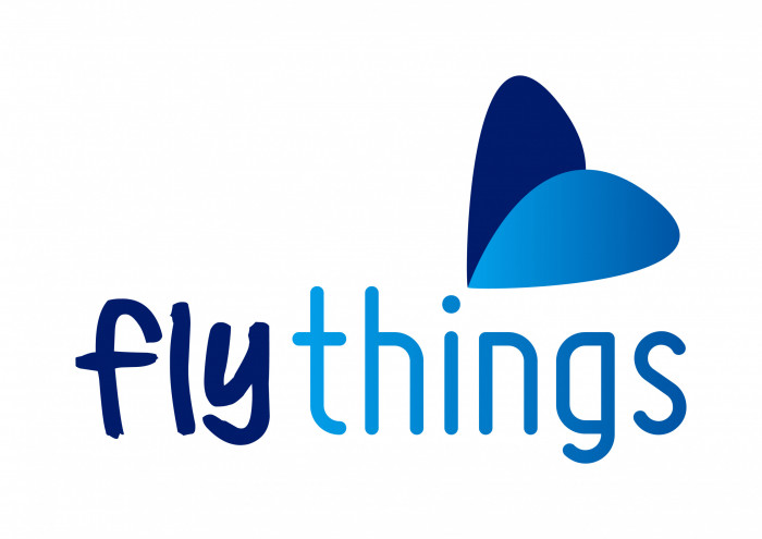 Flythings