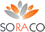 Quick License Manager (QLM)