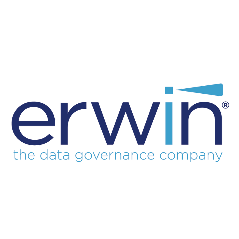 erwin Business Process