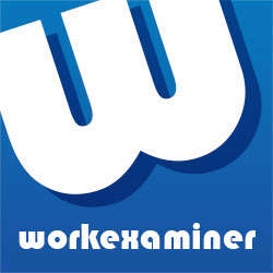 Work Examiner
