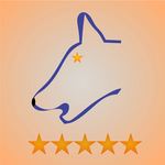 amz Review Fetch