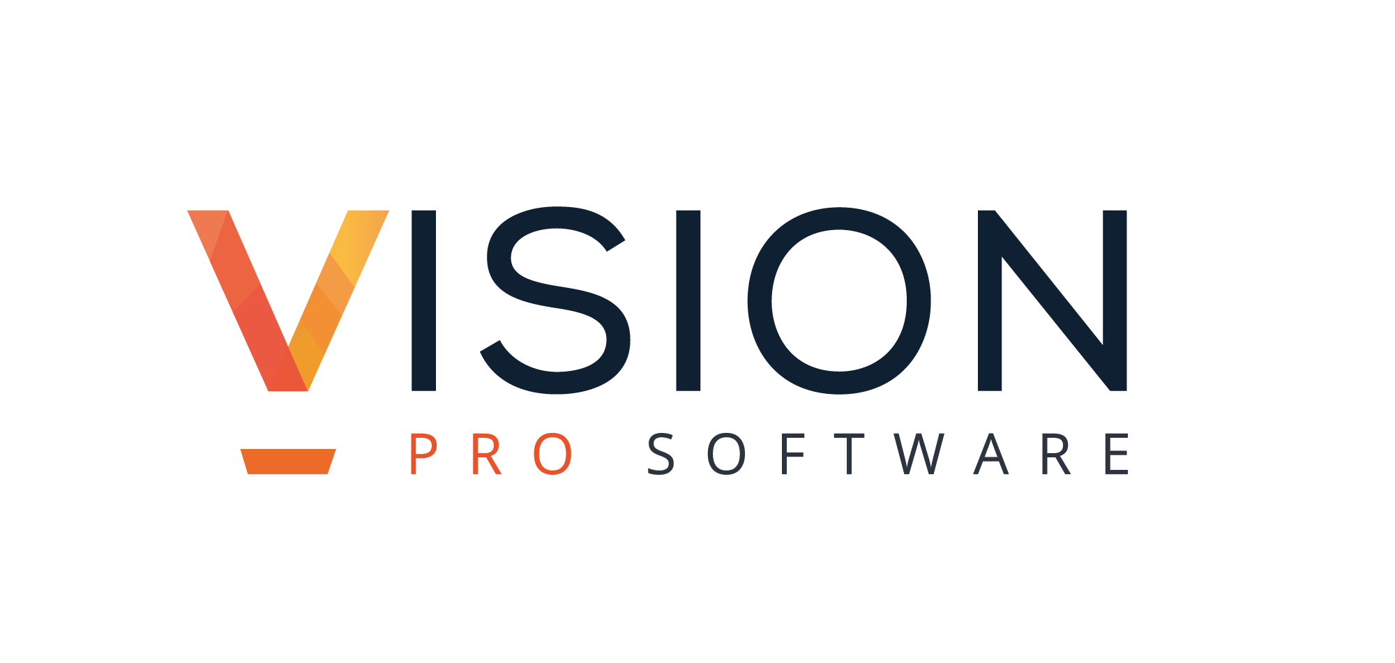 Vision