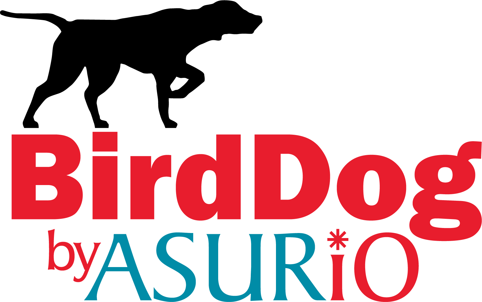 BirdDog