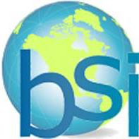 Business Systems Integrators
