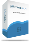 Hybrid MLM