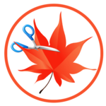 EasyCutPro