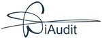 WiAudit