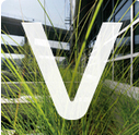 Viewpoint Team