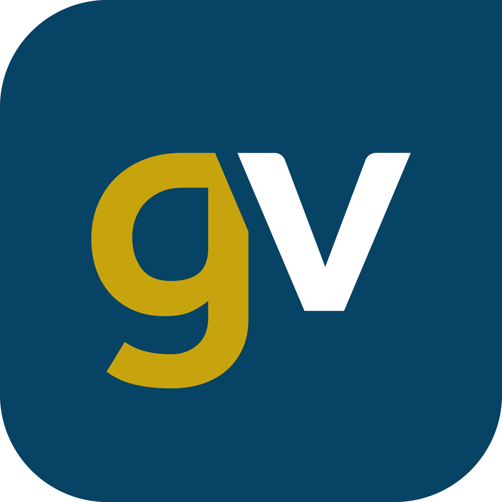 Gold-Vision CRM
