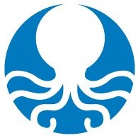 Octopus24