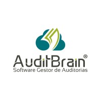AuditBrain External Audit