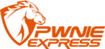 Pwn Pulse