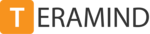 Teramind Employee Productivity Tracking