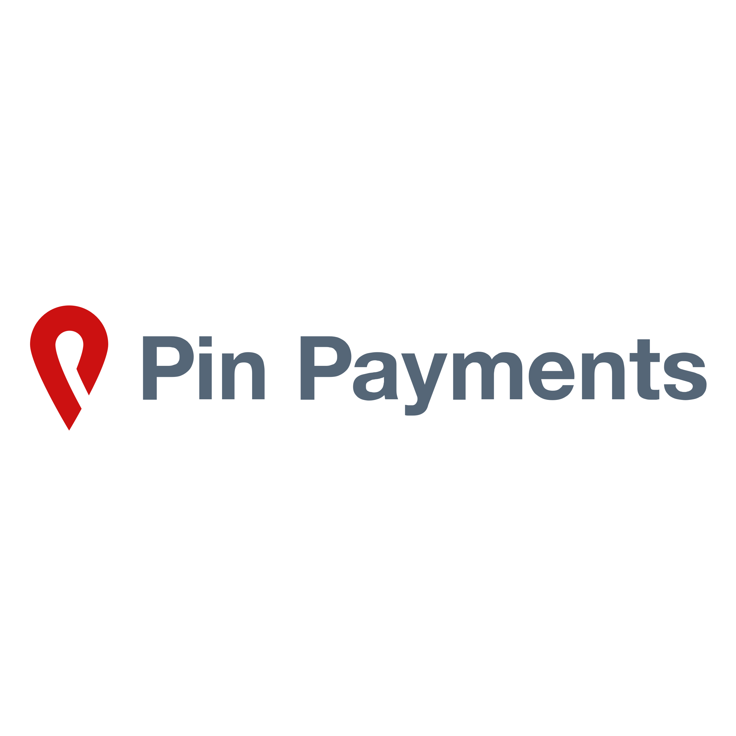 Pin Payments