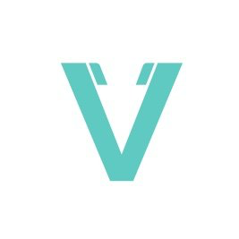 Vizmo